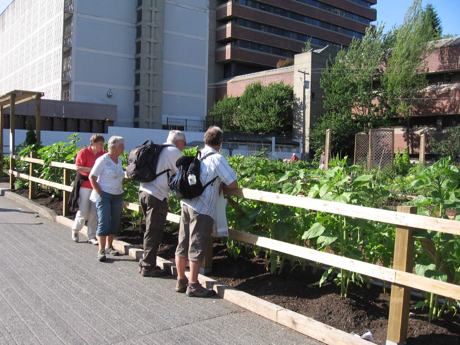 Gardens promote hanging over the fence, talking...